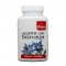 Aceite de borraja Plantis®/ (Пореч масло) x 120 капсули, Artesania Agricola