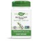 Scullcap Herb Шлемник за тонус и спокоен сън 425мг х100 капсули Nature's Way