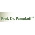 Prof. Dr. Pamukoff