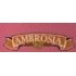 Ambrosia