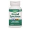 Nature's Way Broad Spectrum Enzyme Active х90 капсули